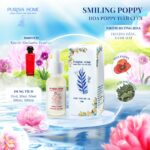 Smiling Poppy - Hoa Poppy tươi cười - Ảnh 3