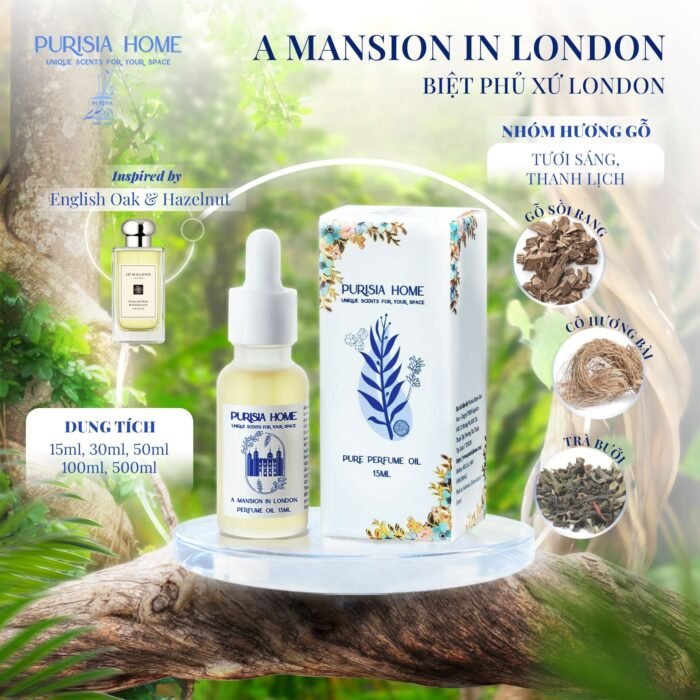 A Mansion in London - Biệt phủ xứ London - Ảnh 3