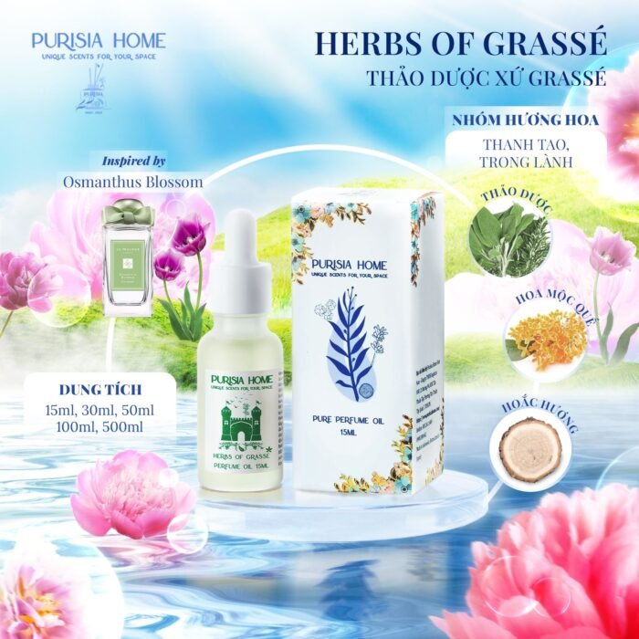 Herbs of Grassé - Thảo dược xứ Grassé - Ảnh 3