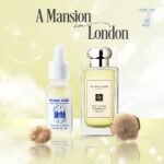 A Mansion in London - Biệt phủ xứ London - Ảnh 2