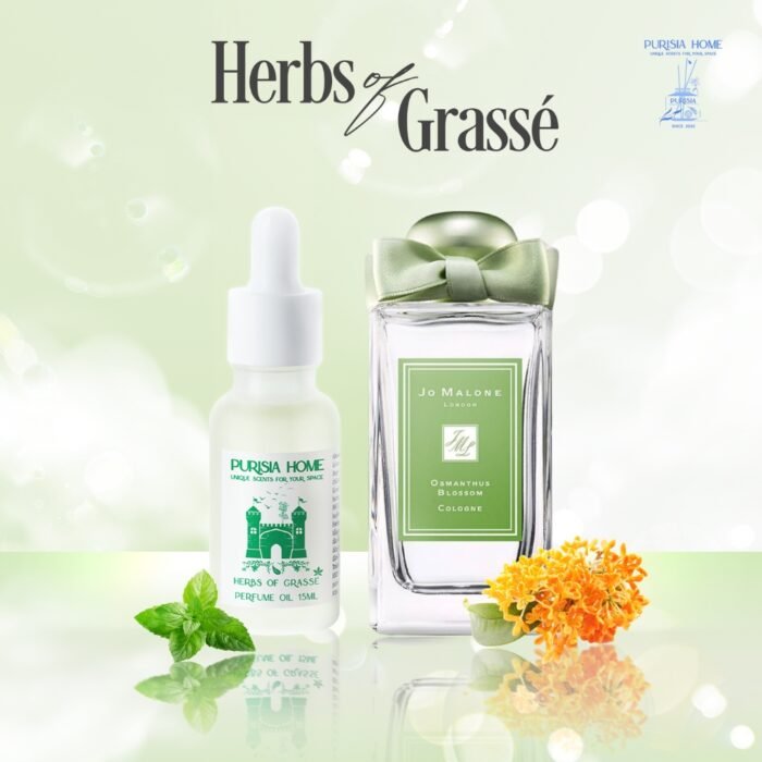 Herbs of Grassé - Thảo dược xứ Grassé - Ảnh 2