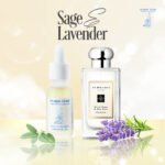 Sage & Lavender - Oải Hương Pháp & lá Xô Thơm - Ảnh 2